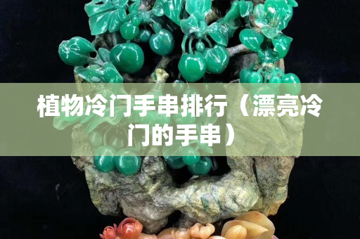 植物冷門手串排行（漂亮冷門的手串）