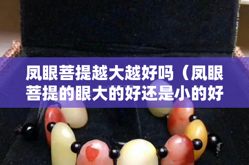鳳眼菩提越大越好嗎（鳳眼菩提的眼大的好還是小的好呢）