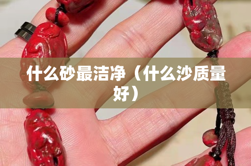 什么砂最潔凈（什么沙質量好）