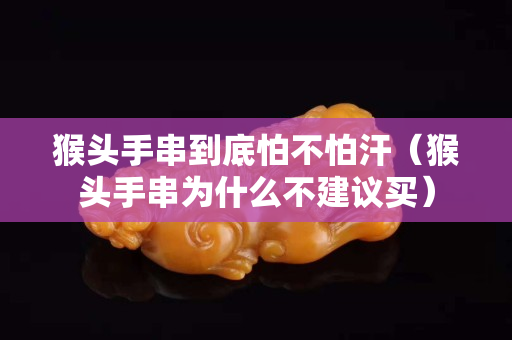 猴頭手串到底怕不怕汗（猴頭手串為什么不建議買）