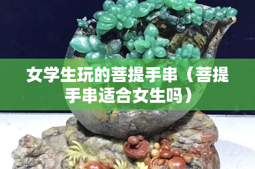 女學生玩的菩提手串（菩提手串適合女生嗎）