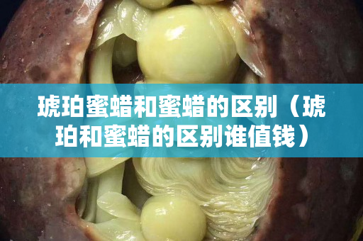 琥珀蜜蠟和蜜蠟的區別（琥珀和蜜蠟的區別誰值錢）