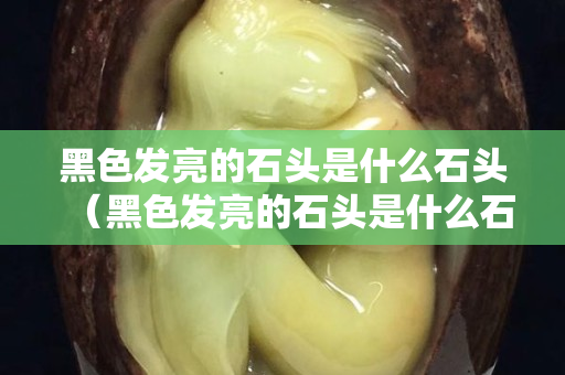 黑色發亮的石頭是什么石頭（黑色發亮的石頭是什么石頭?。? title=
