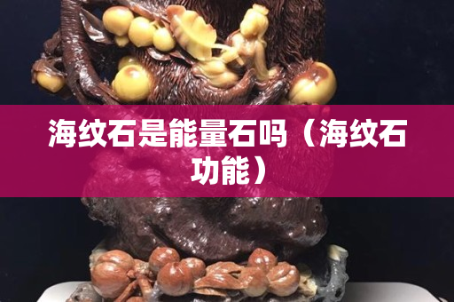 海紋石是能量石嗎（海紋石功能）