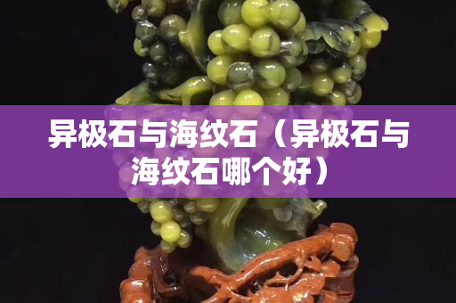 異極石與海紋石（異極石與海紋石哪個(gè)好）