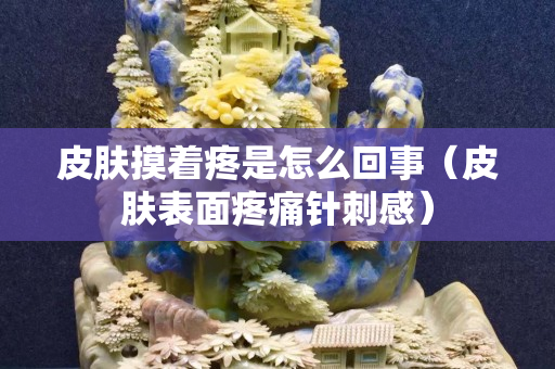 皮膚摸著疼是怎么回事（皮膚表面疼痛針刺感）
