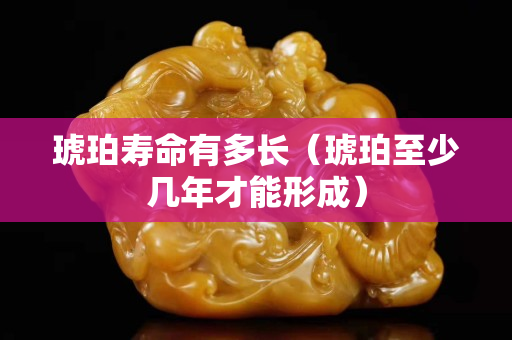 琥珀壽命有多長（琥珀至少幾年才能形成）