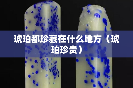 琥珀都珍藏在什么地方（琥珀珍貴）