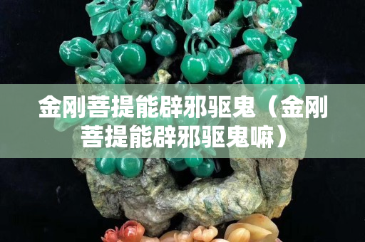 金剛菩提能辟邪驅(qū)鬼（金剛菩提能辟邪驅(qū)鬼嘛）