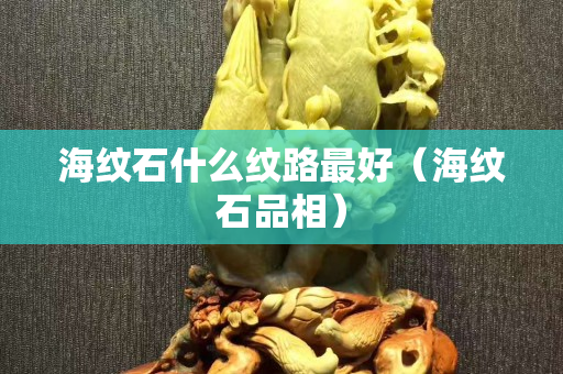 海紋石什么紋路最好（海紋石品相）