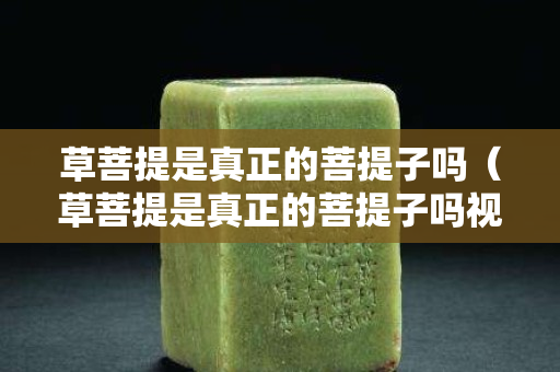 草菩提是真正的菩提子嗎（草菩提是真正的菩提子嗎視頻）