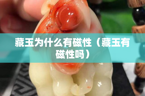 藏玉為什么有磁性（藏玉有磁性嗎）