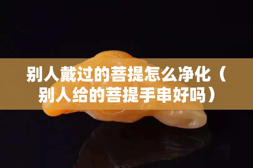 別人戴過的菩提怎么凈化（別人給的菩提手串好嗎）
