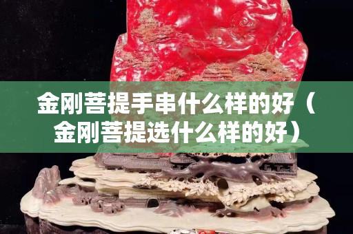 金剛菩提手串什么樣的好（金剛菩提選什么樣的好）