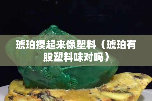 琥珀摸起來像塑料（琥珀有股塑料味對嗎）