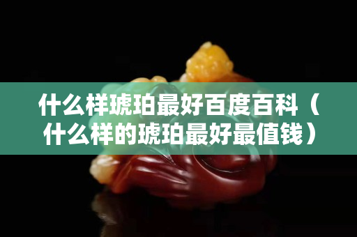 什么樣琥珀最好百度百科（什么樣的琥珀最好最值錢）