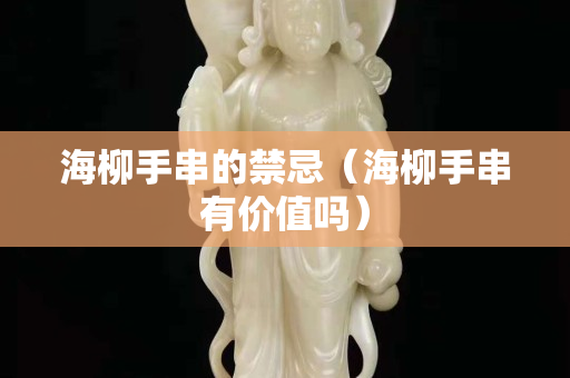 海柳手串的禁忌（海柳手串有價值嗎）