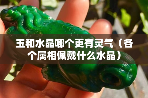 玉和水晶哪個更有靈氣（各個屬相佩戴什么水晶）