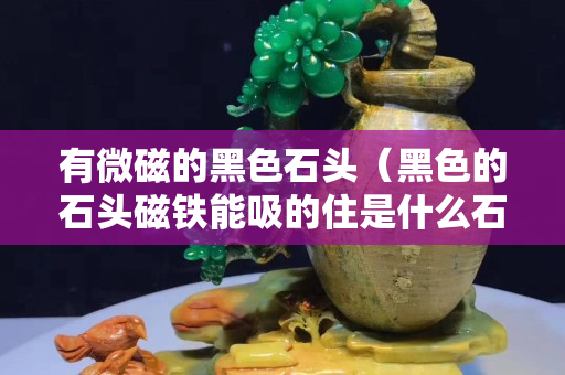 有微磁的黑色石頭（黑色的石頭磁鐵能吸的住是什么石頭）