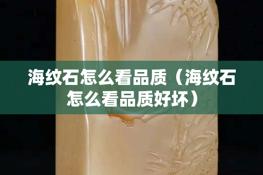 海紋石怎么看品質（海紋石怎么看品質好壞）