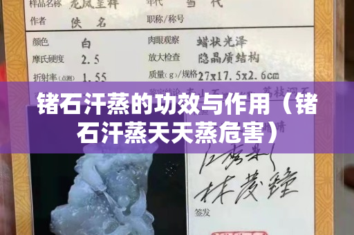 鍺石汗蒸的功效與作用（鍺石汗蒸天天蒸危害）