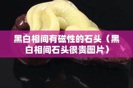 黑白相間有磁性的石頭（黑白相間石頭很貴圖片）
