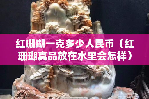 紅珊瑚一克多少人民幣（紅珊瑚真品放在水里會怎樣）