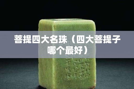 菩提四大名珠（四大菩提子哪個最好）