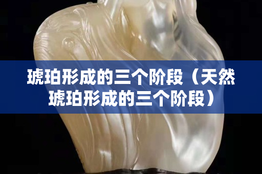 琥珀形成的三個階段（天然琥珀形成的三個階段）