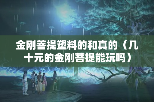 金剛菩提塑料的和真的（幾十元的金剛菩提能玩嗎）