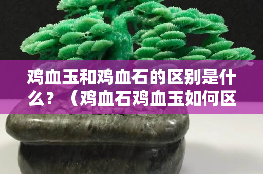 雞血玉和雞血石的區別是什么？（雞血石雞血玉如何區分）
