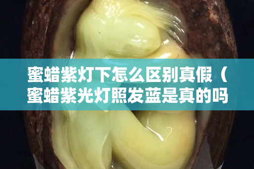 蜜蠟紫燈下怎么區別真假（蜜蠟紫光燈照發藍是真的嗎）