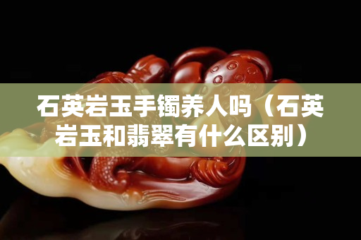石英巖玉手鐲養人嗎（石英巖玉和翡翠有什么區別）