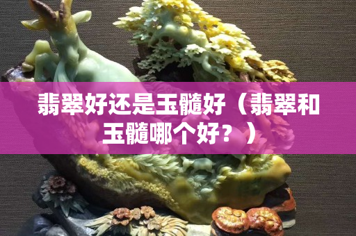 翡翠好還是玉髓好（翡翠和玉髓哪個(gè)好？）