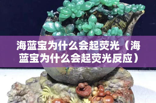 海藍寶為什么會起熒光（海藍寶為什么會起熒光反應）