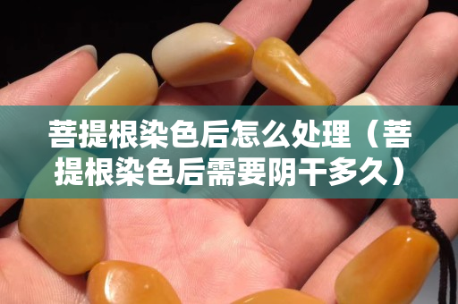 菩提根染色后怎么處理（菩提根染色后需要陰干多久）