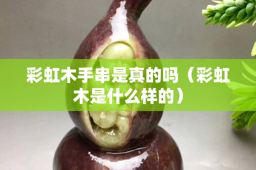 彩虹木手串是真的嗎（彩虹木是什么樣的）