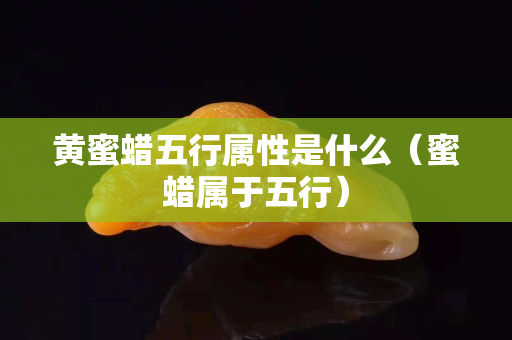 黃蜜蠟五行屬性是什么（蜜蠟屬于五行）