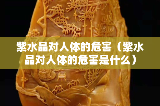 紫水晶對人體的危害（紫水晶對人體的危害是什么）