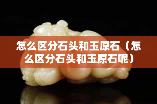 怎么區(qū)分石頭和玉原石（怎么區(qū)分石頭和玉原石呢）