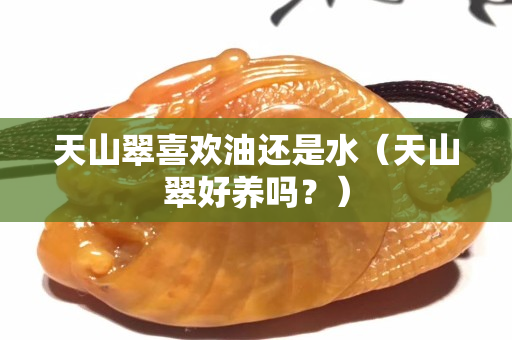 天山翠喜歡油還是水（天山翠好養(yǎng)嗎？）