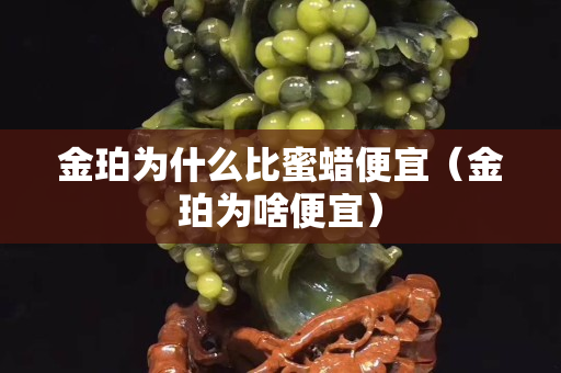 金珀為什么比蜜蠟便宜（金珀為啥便宜）