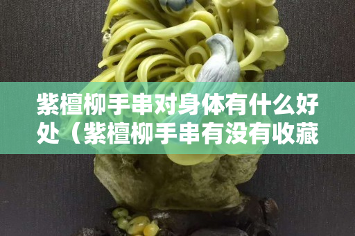 紫檀柳手串對身體有什么好處（紫檀柳手串有沒有收藏價值）