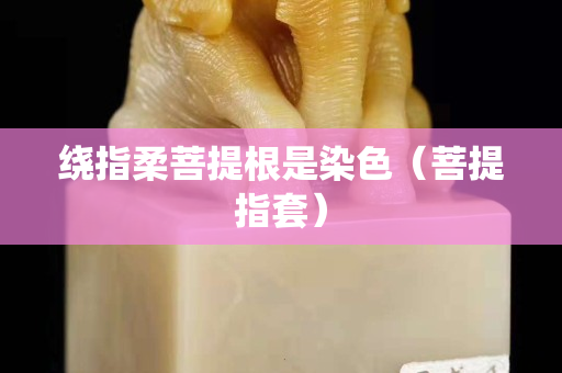 繞指柔菩提根是染色（菩提指套）