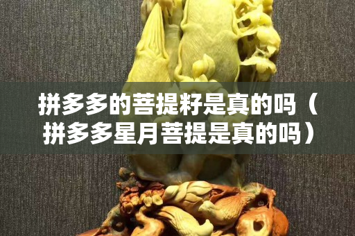 拼多多的菩提籽是真的嗎（拼多多星月菩提是真的嗎）