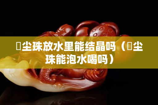 雮塵珠放水里能結晶嗎（雮塵珠能泡水喝嗎）
