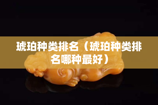 琥珀種類排名（琥珀種類排名哪種最好）