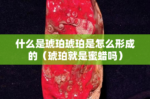 什么是琥珀琥珀是怎么形成的（琥珀就是蜜蠟嗎）