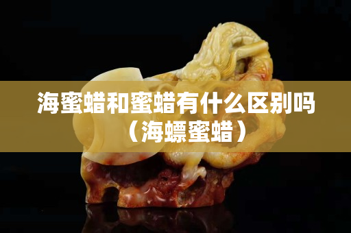 海蜜蠟和蜜蠟有什么區(qū)別嗎（海螵蜜蠟）