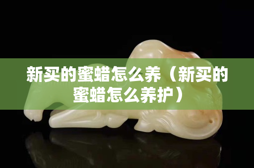 新買的蜜蠟怎么養（新買的蜜蠟怎么養護）